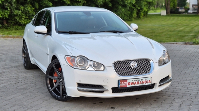 jaguar